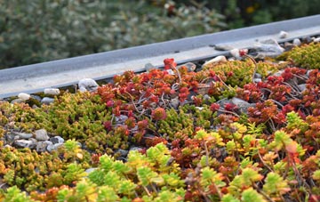 the cost of Firth Muir Of Boysack green roof installation