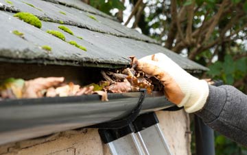 gutter cleaning Firth Muir Of Boysack, Angus