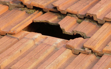 roof repair Firth Muir Of Boysack, Angus